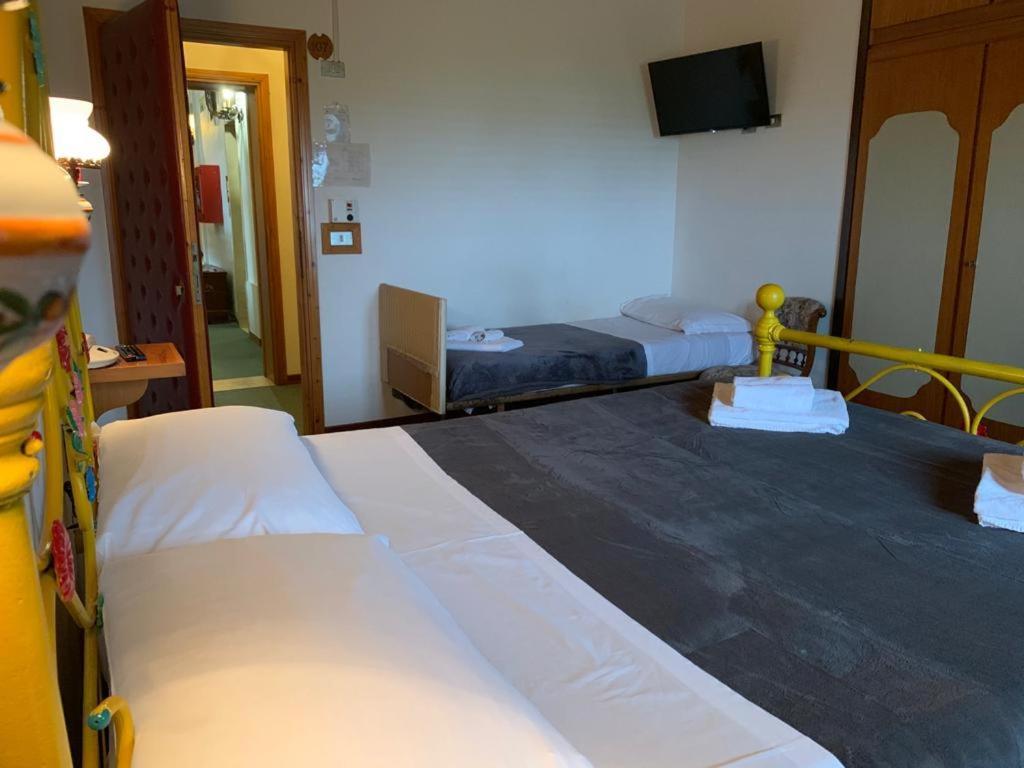 Ficocle Hotel 3*